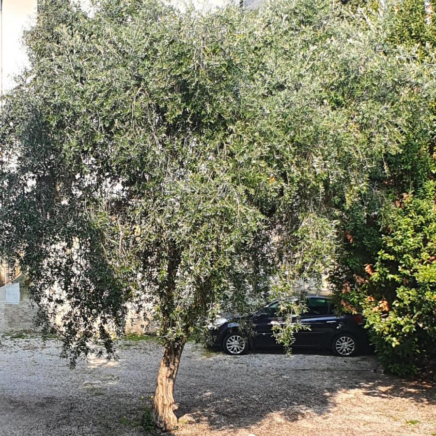 Appartamento Lido 'With Parking Space Included' Toscolano Maderno Zewnętrze zdjęcie